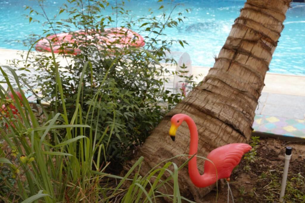 B-Lbait Yanbu Villa Garden Ngoại thất bức ảnh